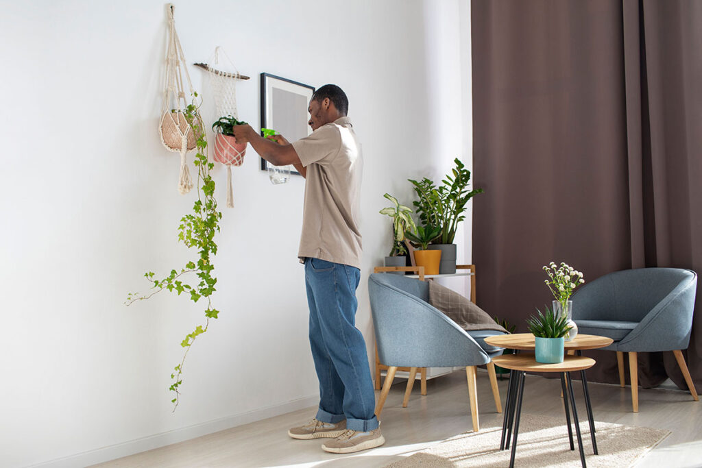 A man in a jeans and a t-shirt waters his ivy plants in his living space. The living space is very clean and uncluttered. The furniture seems light but not delicate and there is a large divider curtain that is providing texture and warmth.